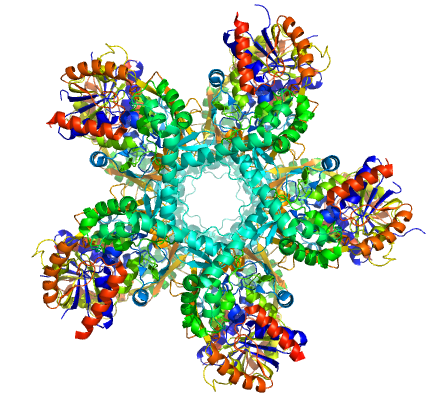 CMCF - Setting Sights on New Antibiotics