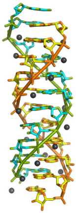 CMCF - The double-helix: not just for DNA